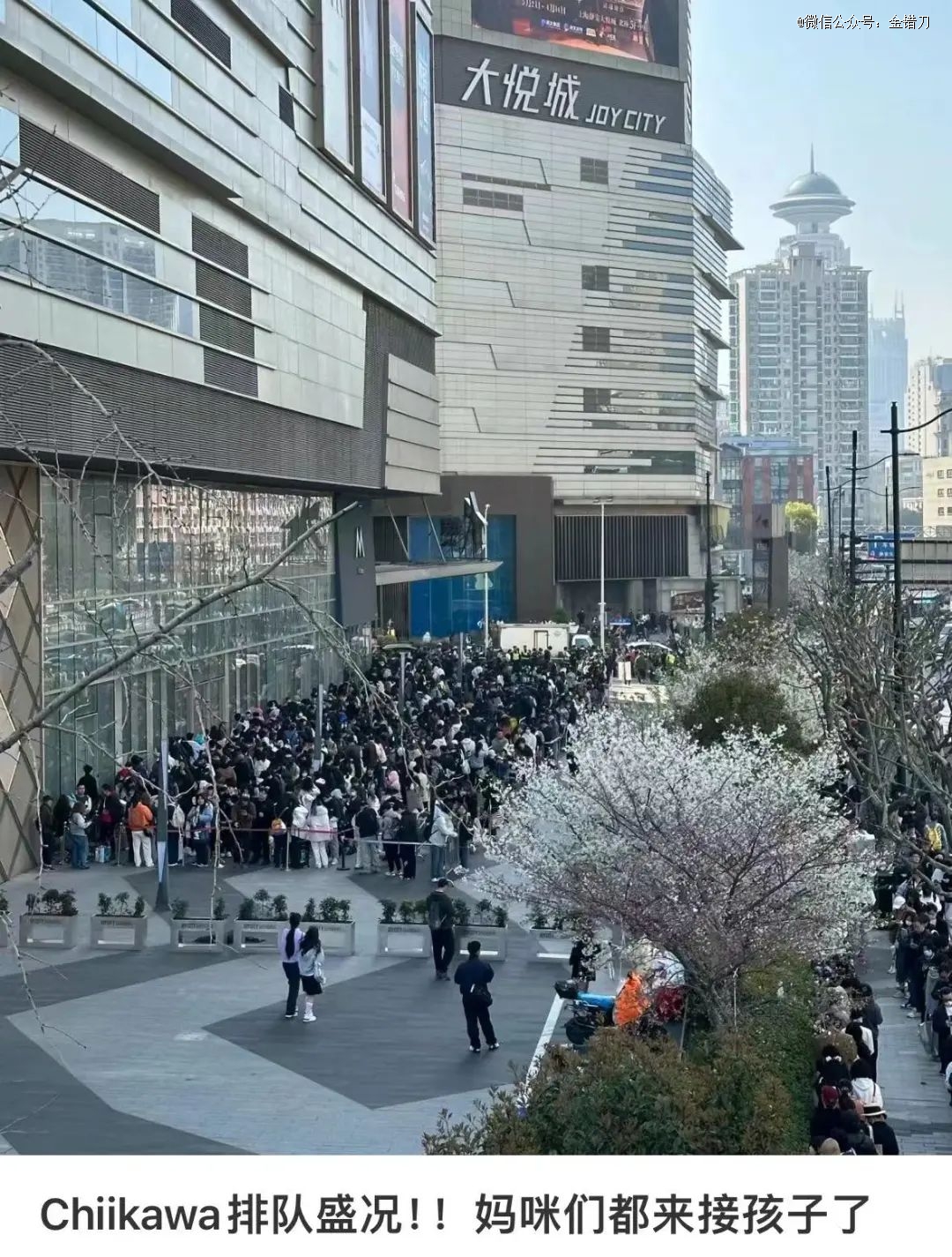 年入24亿！十元店最火玩具在北上广杀疯了(图1)