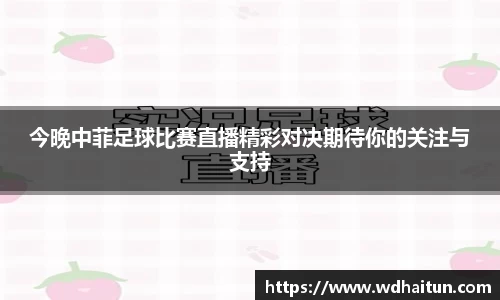 XK星空体育APP