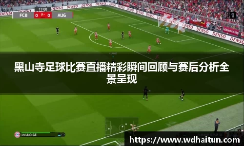 XK星空体育下载