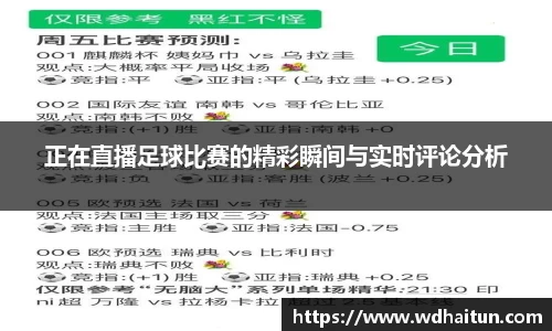 XK星空体育官网