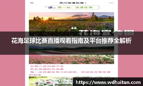 花海足球比赛直播观看指南及平台推荐全解析