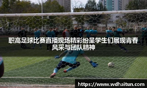 XK星空体育官网