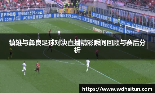 镇雄与彝良足球对决直播精彩瞬间回顾与赛后分析