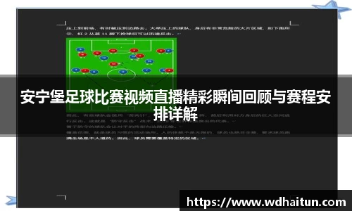 XK星空体育APP