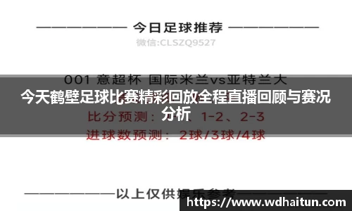 今天鹤壁足球比赛精彩回放全程直播回顾与赛况分析