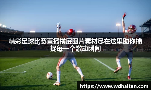 XK星空体育APP