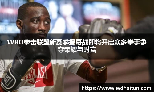 WBO拳击联盟新赛季揭幕战即将开启众多拳手争夺荣耀与财富