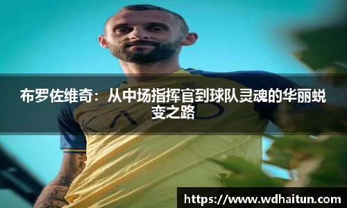 XK星空体育APP