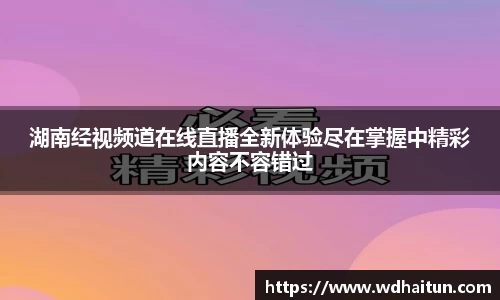 湖南经视频道在线直播全新体验尽在掌握中精彩内容不容错过