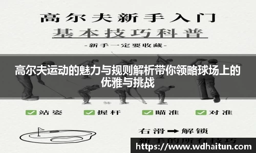 高尔夫运动的魅力与规则解析带你领略球场上的优雅与挑战