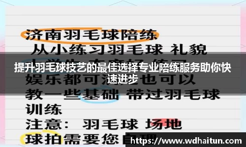 提升羽毛球技艺的最佳选择专业陪练服务助你快速进步