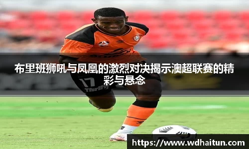 XK星空体育下载