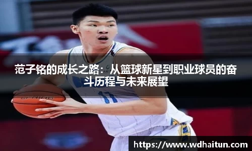 XK星空体育平台